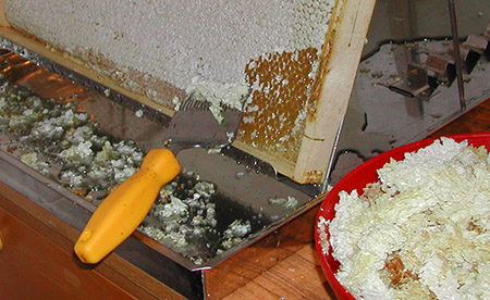 Vytáčení medu